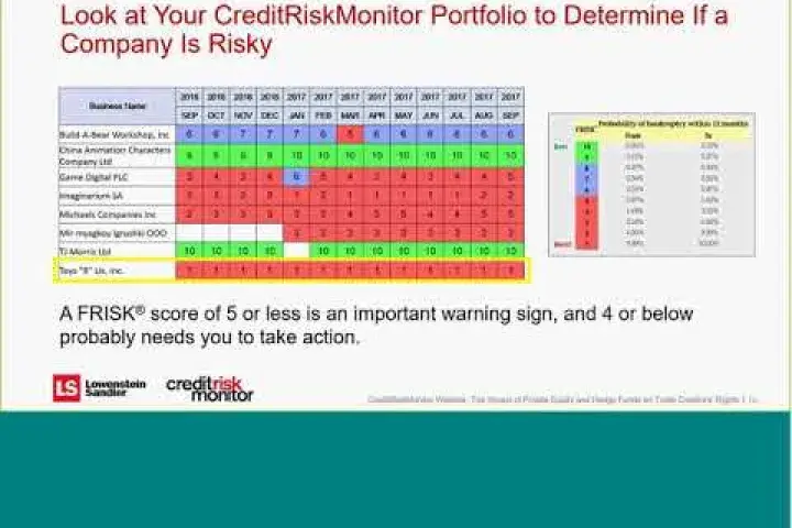Webinar video preview of credit risk analysis