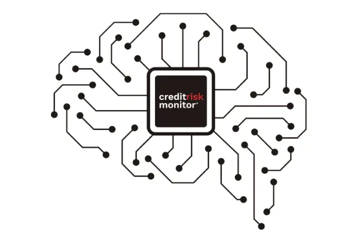 Leveraging AI for accurate private company bankruptcy risk assessment, we were successful in predicting 77% of bankruptcies in 2019 with the PAYCE® score.