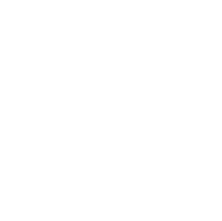 payce-score-icon