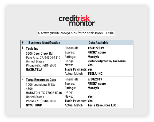 Tesla search results of public company risk
